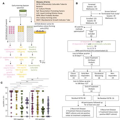 Differentially culturable tubercle bacteria as a measure of tuberculosis treatment response